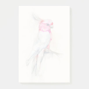 Post-it® Opera Cockatoo