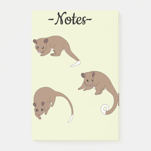 Post-it® Opossums à queue annelée (Devant)