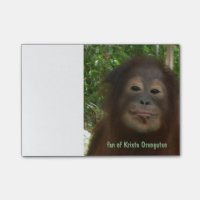 Orang-outan de Krista