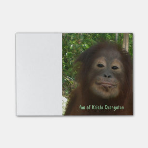 Post-it® Orang-outan de Krista