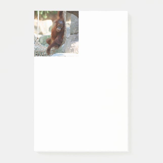 Post-it® OrangUtan 001 (Devant)