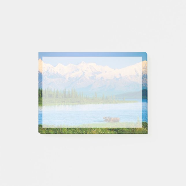 Post-it® Orignal mâle dans le Wonder Lake (Devant)