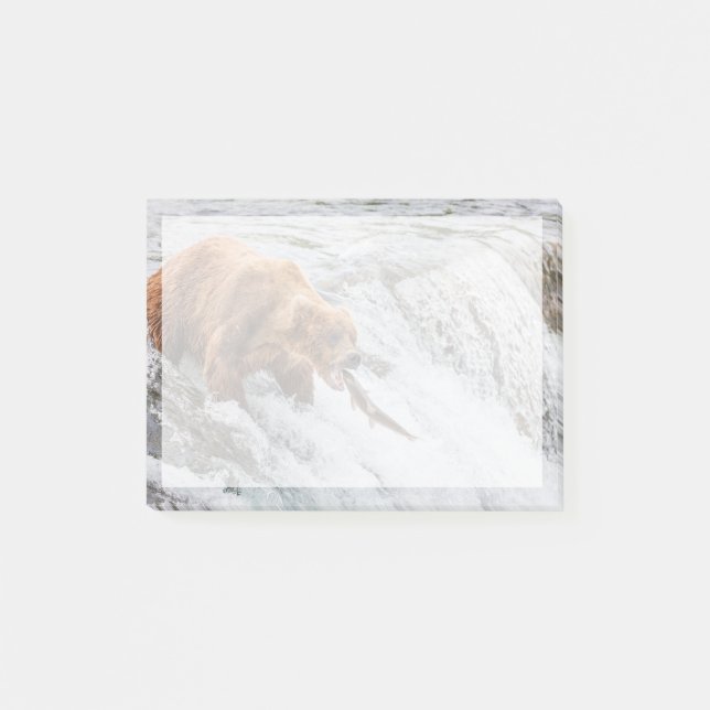 Post-it® Ours brun attrape un saumon rouge (Devant)