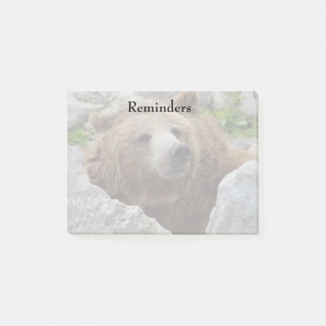 Post-it® Ours kodiak (Devant)