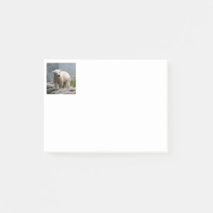 Post-it® Ours polaire 010