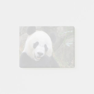 Post-it® Panda Bei Bei au zoo national