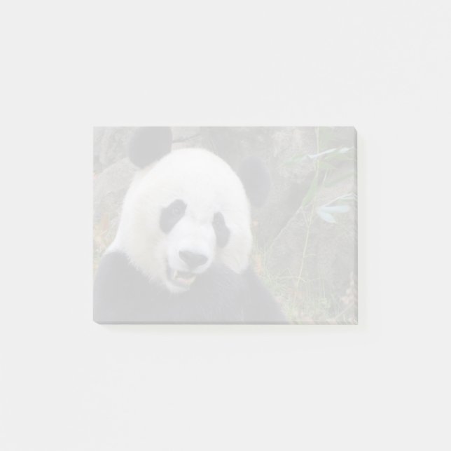 Post-it® Panda Bei Bei au zoo national (Devant)