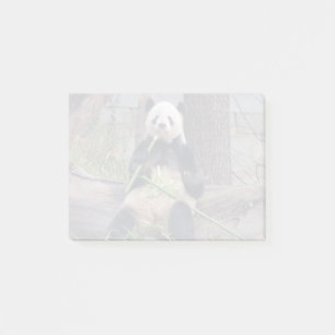 Post-it® Panda Tian Tian au zoo national