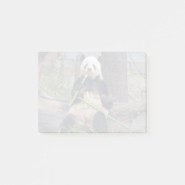 Post-it® Panda Tian Tian au zoo national (Devant)