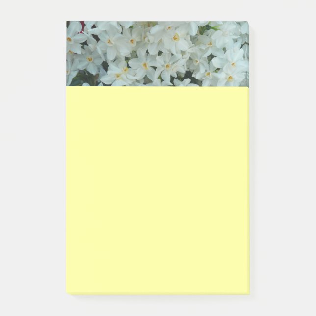 Post-it® Paperwhite Narcissus Fleurs blanches délicates (Devant)