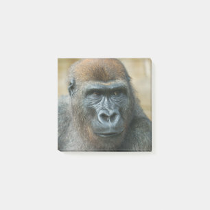 Post-it® Papier Gorilla