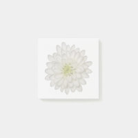 Papier notes adhésifs Chrysanthème blanc