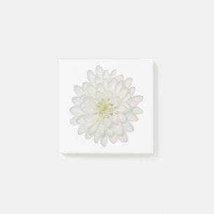 Post-it® Papier notes adhésifs Chrysanthème blanc