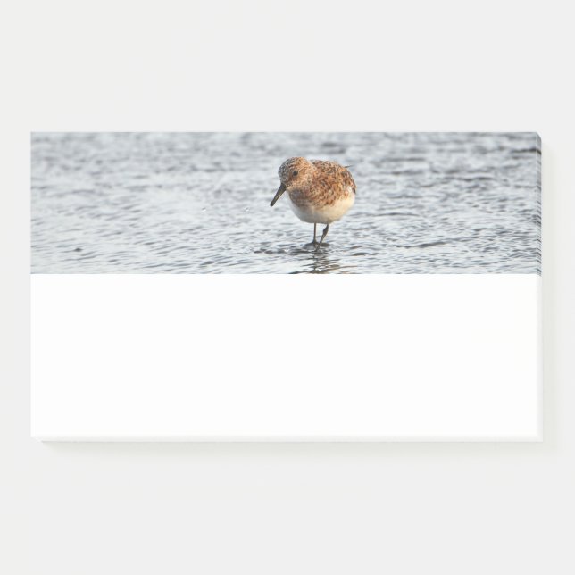 Post-it® Papier photo Sandpiper Bird Note Pad (Devant)