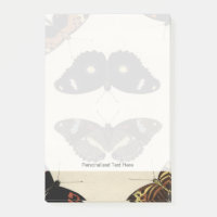 Papillon coloré Medley sur Arrière - plan de crème