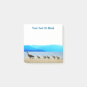 Post-it® Patrouille côtière - Oies du Canada