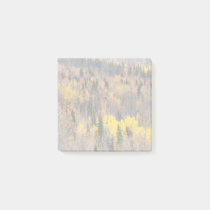 Post-it® Paysage de forêt automnale aux arbres dorés