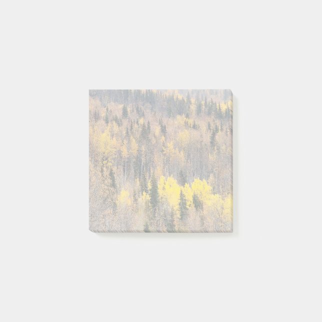 Post-it® Paysage de forêt automnale aux arbres dorés (Devant)