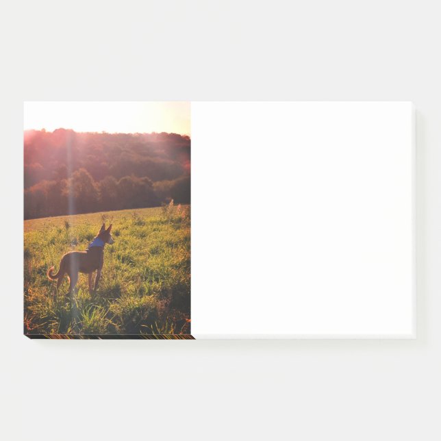 Post-it® Paysage du lever du soleil avec chien (Devant)