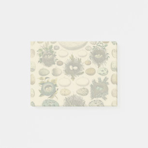 Post-it® Peinture artistique de nid d'oeuf d'oiseau vintage