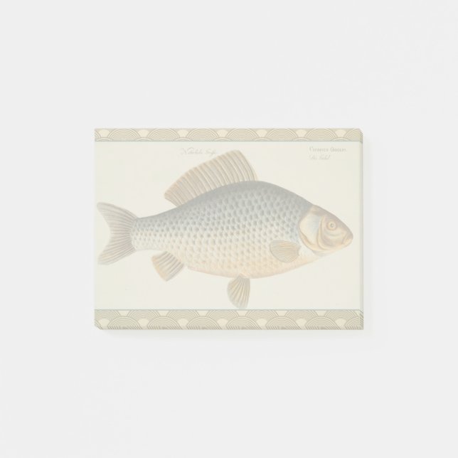 Post-it® peinture de pêche de carpe dessin d'eau douce  (Devant)
