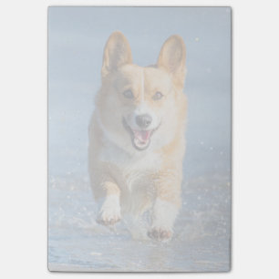 Post-it® Pembroke Welsh Corgi Dog S'Entraîne Sur La Plage
