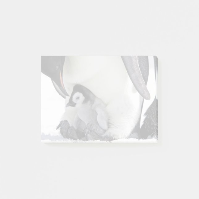 Post-it® Penguin| Île de Snow Hill (Devant)