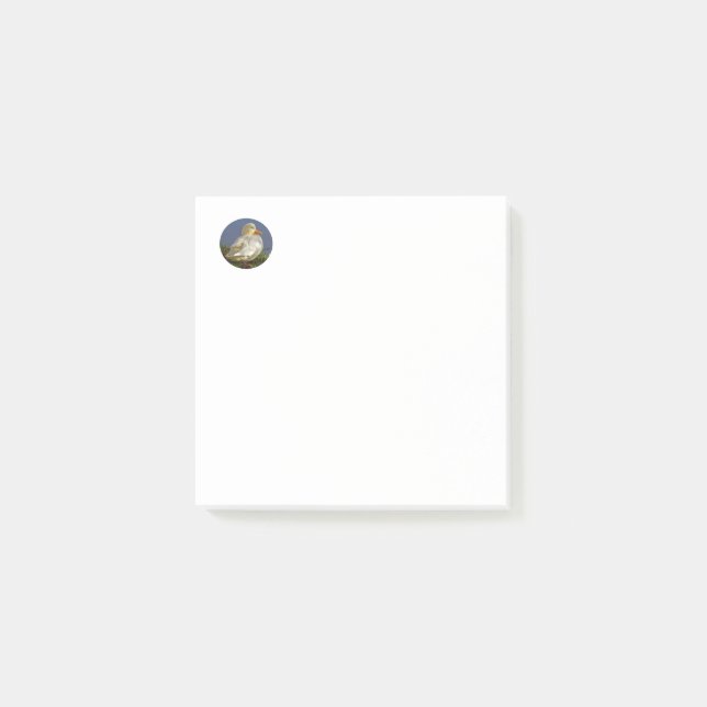Post-it® Petit Canard Blanc (Devant)