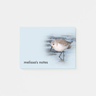 Post-it® Petit Sanderling mignon à la plage