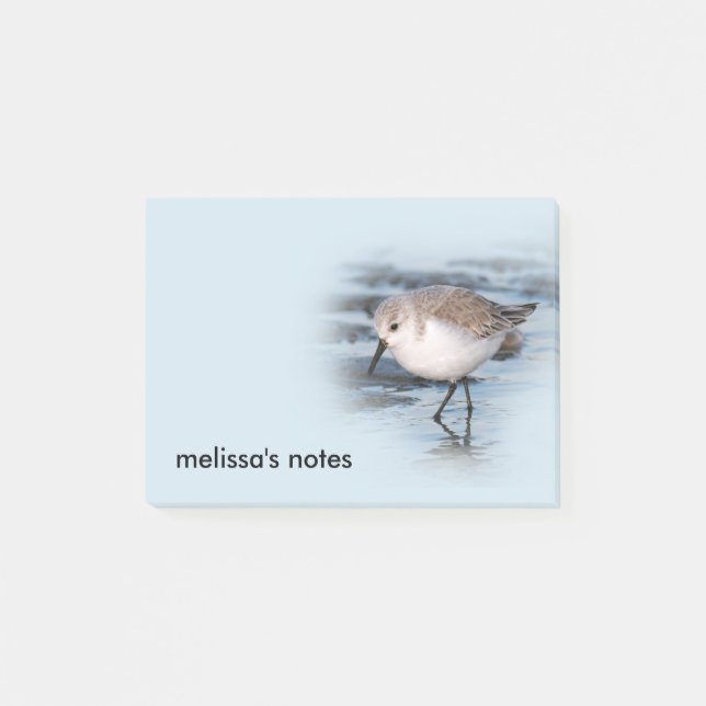 Post-it® Petit Sanderling mignon à la plage (Devant)