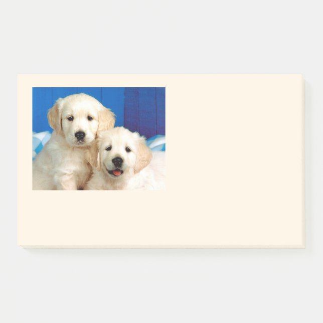 Post-it® Petits du Labrador (Devant)