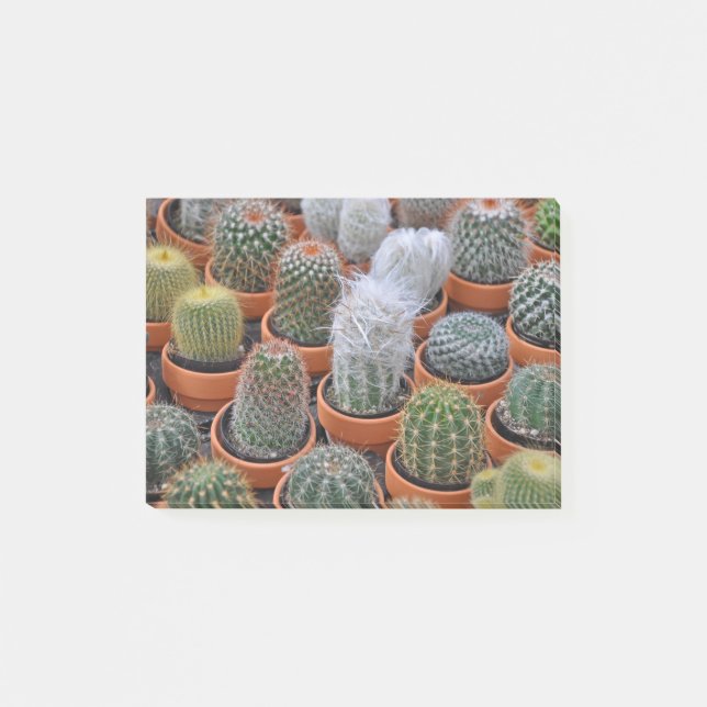 Post-it® Petits plantes de cactus (Devant)
