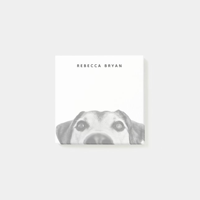 Post-it® Photo de nez de chien reniflant (Devant)