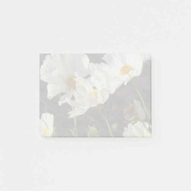 Post-it® Photo d'un lit de fleurs de marguerites blanches e (Devant)