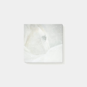 Post-it® Photo d'un magnifique cheval blanc en hiver