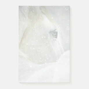 Post-it® Photo d'un magnifique cheval blanc en hiver