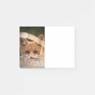 Post-it® Photo d'un petit renard orange mignon