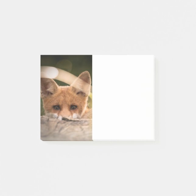 Post-it® Photo d'un petit renard orange mignon (Devant)