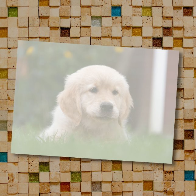 Post-it® Photo personnalisée | Convertir automatiquement vo (Créateur téléchargé)