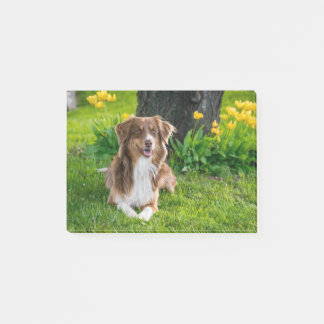 Post-it® Photo personnalisée pour chien de compagnie