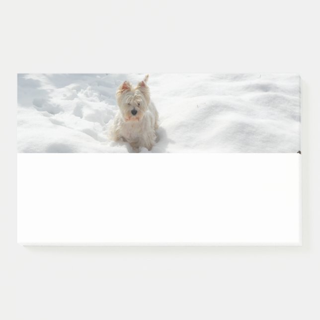 Post-it® Photo Post-it Photo Pad Photo Chien blanc neigeux (Devant)