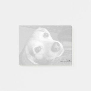 Post-it® Photographie personnalisée pour animaux de compag