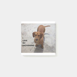 Post-it® PIC rouge de l'amour W de teckel pleine