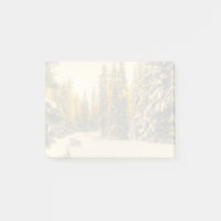 Pins couverts de neige Forêt Nature Photo