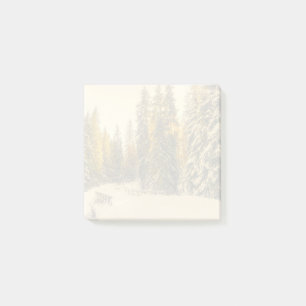 Post-it® Pins couverts de neige Forêt Nature Photo
