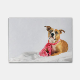 Post-it® Pit Bull Puppy Love in Pink XOXO