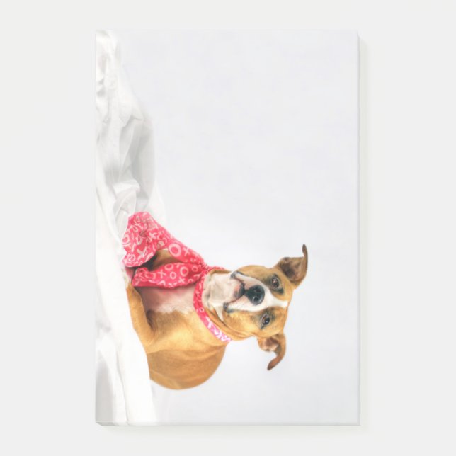 Post-it® Pit Bull Puppy Love in Pink XOXO (Devant)