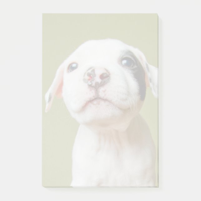 Post-it® Pitbull avec l'oeil repéré par noir (Devant)