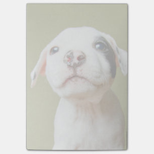 Post-it® Pitbull avec l'oeil repéré par noir