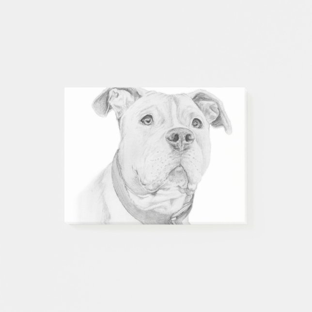 Post-it® Pitbull, mal compris (Devant)